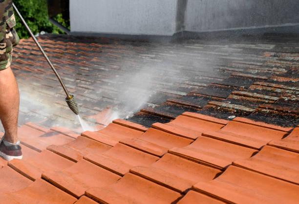 Best Best Pressure Washing Companies  in Huntley, IL