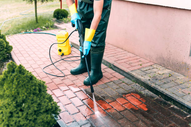 Roof Power Washing Services in Huntley, IL