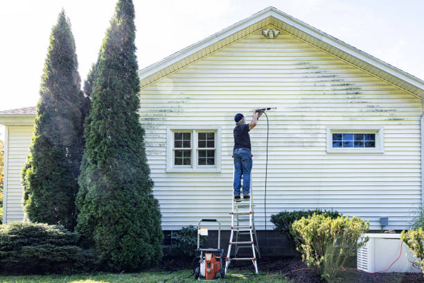 Best Sidewalk Pressure Washing  in Huntley, IL