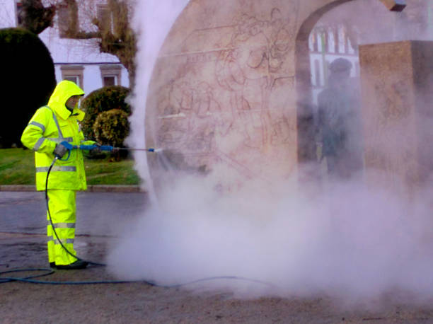 Best Pressure Washing Siding  in Huntley, IL